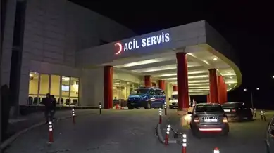 Ayı Saldırısı: Domuz Avında Ağır Yaralanma