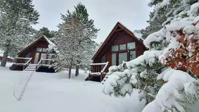 Rize ve Artvin'e Sarı Kodlu Uyarı: Yoğun Yağış Bekleniyor!