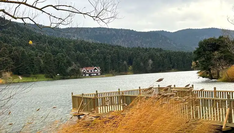 Kuvvetli Rüzgar, Yüksek Kesimleri Vurdu!